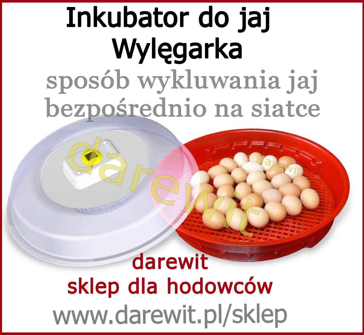Wylęgarka klujnik jaj Pulsor - ile jaj mieści inkubator - darewit